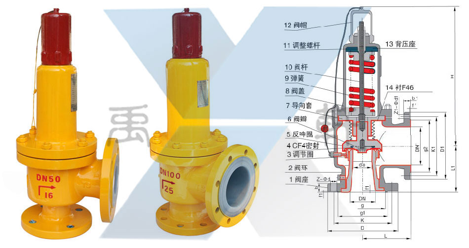 WA42F46-25C-DN100波纹管氯气专用安全阀(图1)